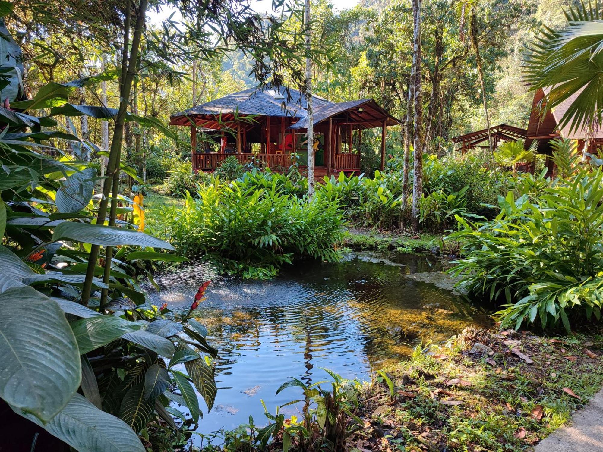 Mindo Garden Lodge And Wildlife Reserve Exteriör bild